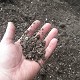 torbiera | regione calabria cave e miniere | miniere sardegna | marmo minerale